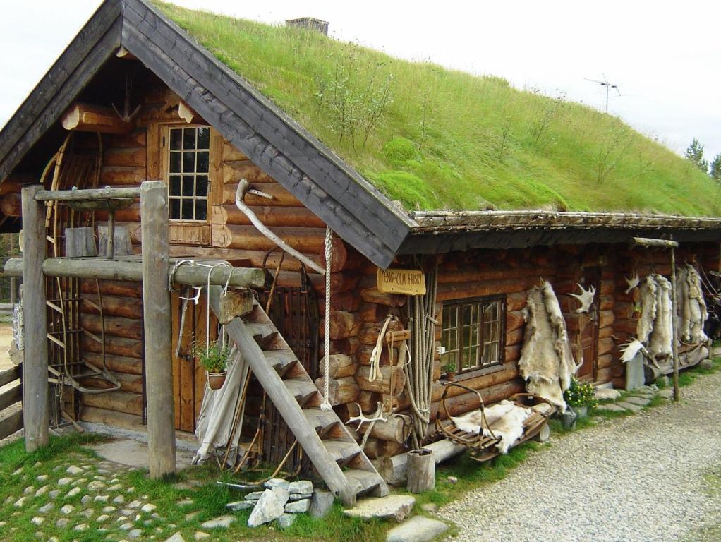 A hand-built log cabin with a turf roof, antlers and pelts on the outer wall.